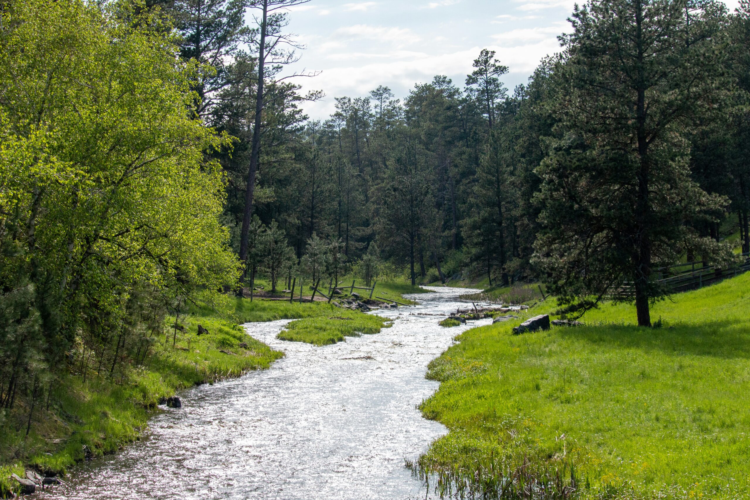 Custer State Park in a Day: Spires, Buffalo, & Black Hills Wonders – Plus Luxury Lodging Tips!